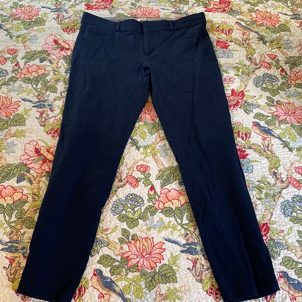 Banana republic Sloan pant in blue size 10